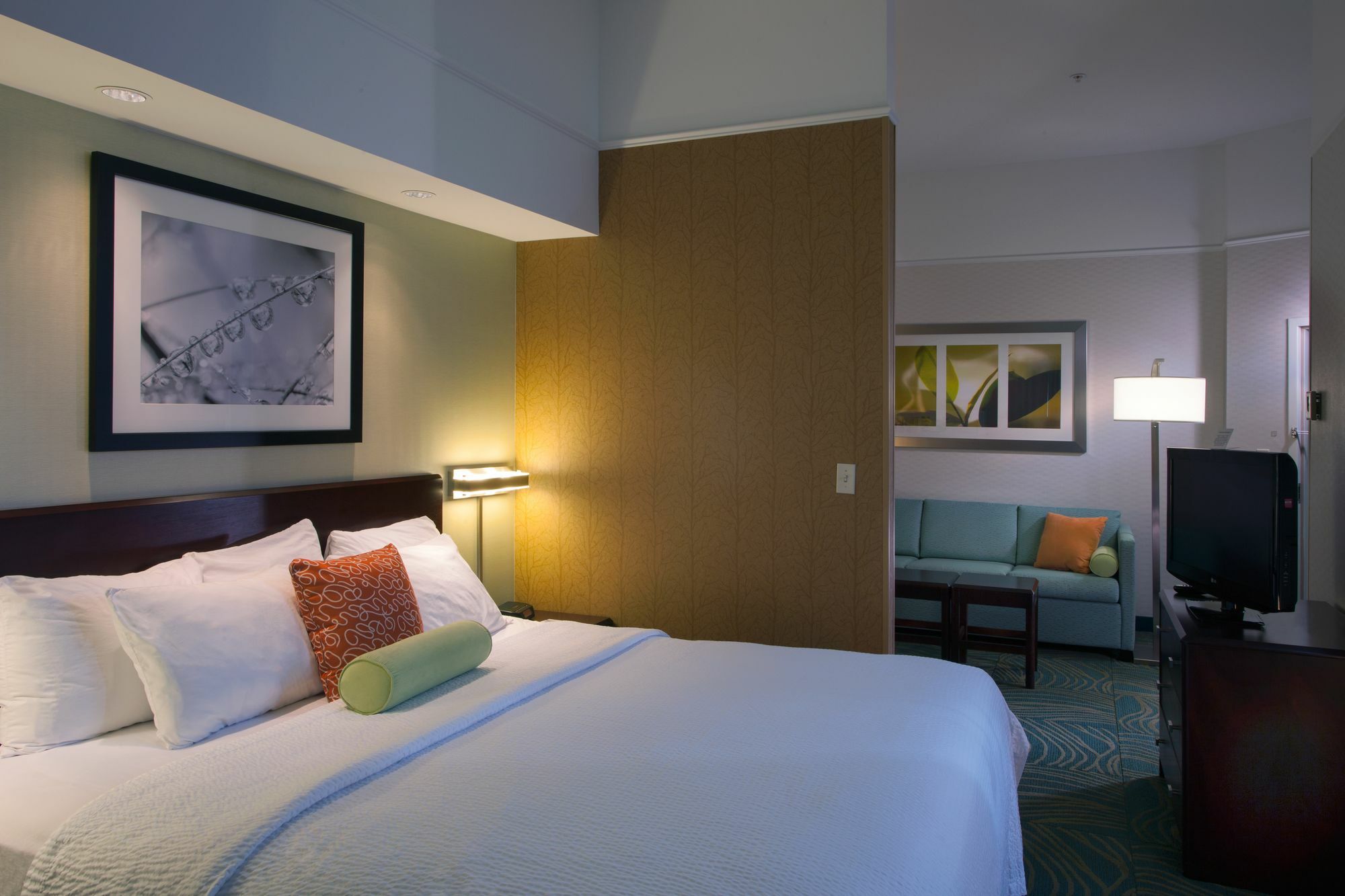 SpringHill Suites Boise West/Eagle Extérieur photo